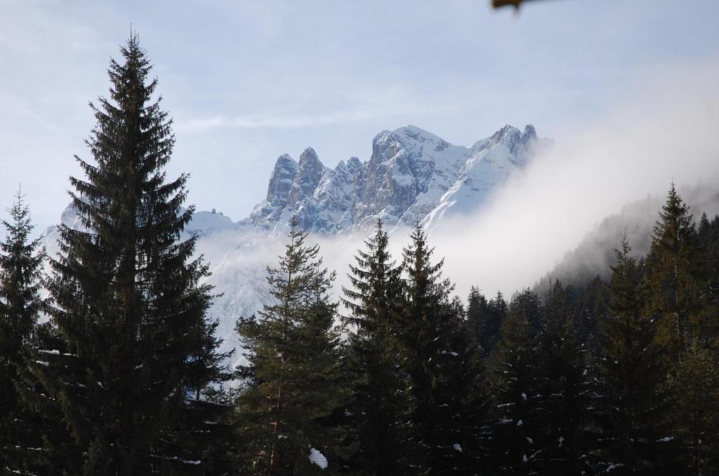Albergo Ristorante Cacciatori Auronzo di Cadore Exterior foto